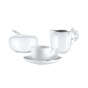 Set Pentru Espresso 8 Piese Landscape Rosenthal