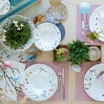 Set-De-Masa-24-Piese---Pentru-6-Persoane-Nora-Spring-Vibes-Rosenthal-Hutschenreuther-2