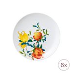 Set-6-Farfurii-Aperitiv-Desert-21cm-Harmonia-Raynaud-Limoges-1