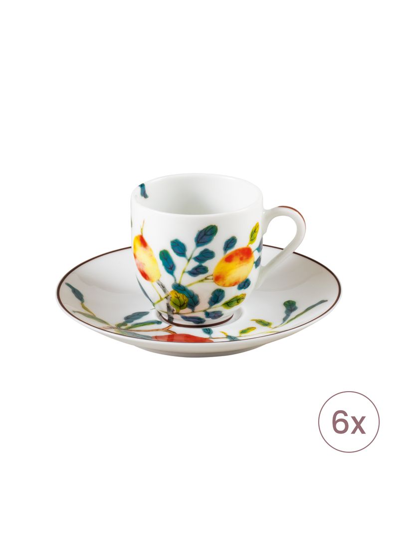 Set-6-Cesti-Cu-Farfurioare-Cafea-Harmonia-Raynaud-Limoges-1