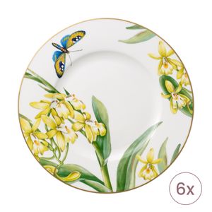 Set 6 farfurii 22cm Amazonia Anmut Villeroy&Boch